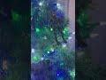 Happy HALOdays 🎄