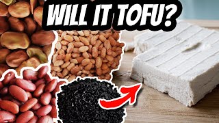 WILL IT TOFU? Pinto Beans, Black Beans, Kidney and More! | Mary's Test Kitchen