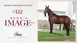 Benn's Image LS. Lot 122 at the Midwest Breeder's Edition
