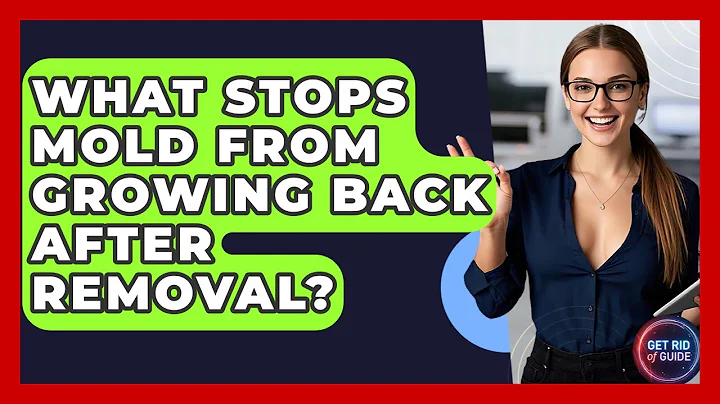 What Stops Mold From Growing Back After Removal? - Get Rid Of Guide