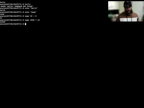 Examining input and output in the shell (Linux)