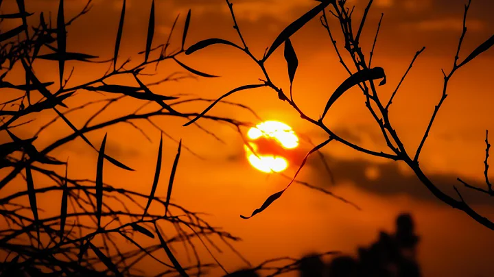 Joan Baez - On The Banks Of The Ohio (Lyrics)  [HD]