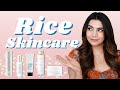 6 Rice Skincare Superstars | AD ft MAKE