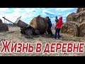 Из города в деревню 165 серия