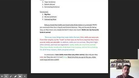 Body Paragraphs for Informational Essays