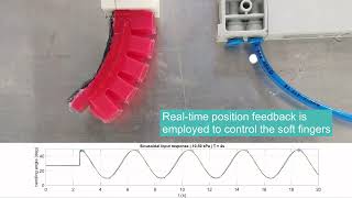 Modelling and Control - Project SoftGrip