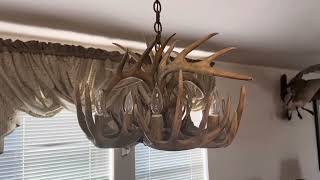 Real Life Review of Faux Deer Antler Chandelier