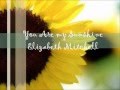 Elizabeth Mitchell - You Are My Sunshine Lyric Video