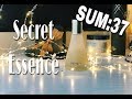 SUM:37 Secret Essence/Корейский уход/GirlTalks Blog