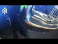 Dangerous driver meets police dog after crashing in high speed car chase