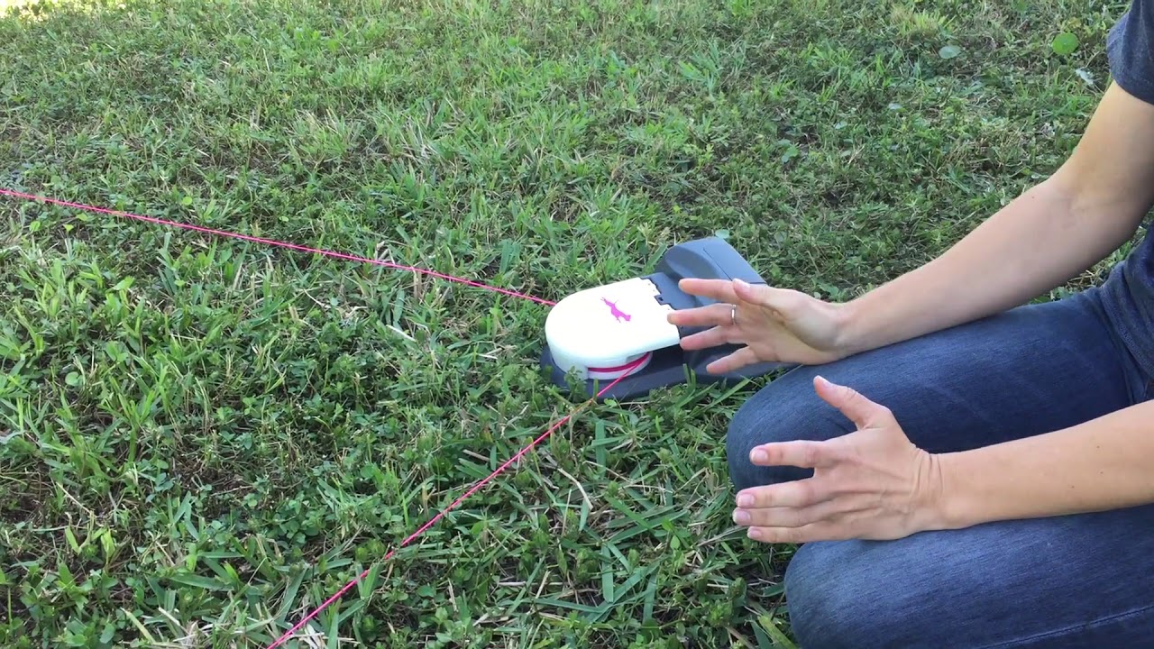 About Lure Coursing – SwiftPaws