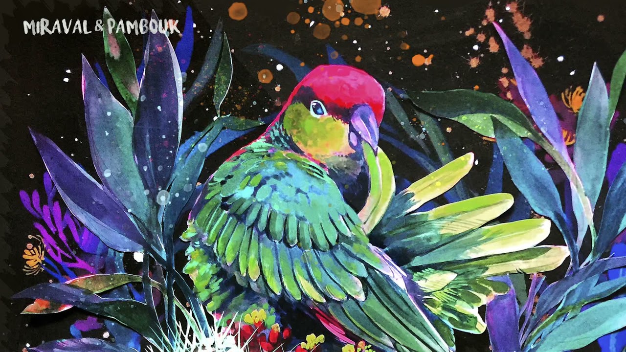 Söhns & Pambouk - Canyon Beauty [Exclusive Premiere]