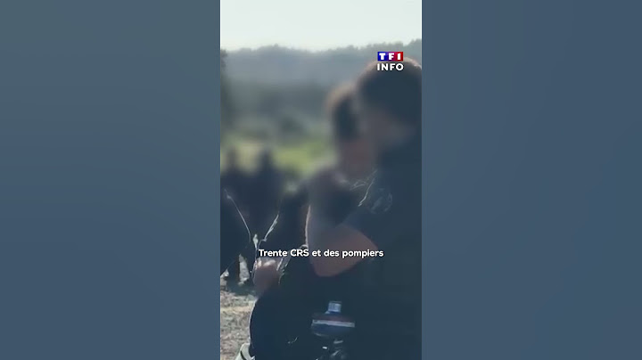 Rave-party en Lozère : des agriculteurs délogent des fêtards｜TF1 INFO