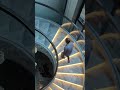 Intelligent sensor stair light.#ledstriplights #lampfactory #ledstrips #lightingfactorys #lights