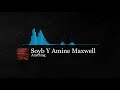 Soyb & Amine Maxwell - Anything 🎶 (Copyright free) 🎵