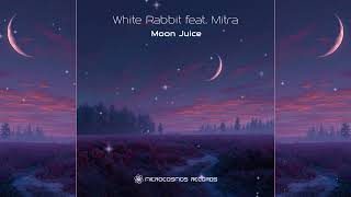 White Rabbit feat. Mitra - Moon Juice | Chill Space