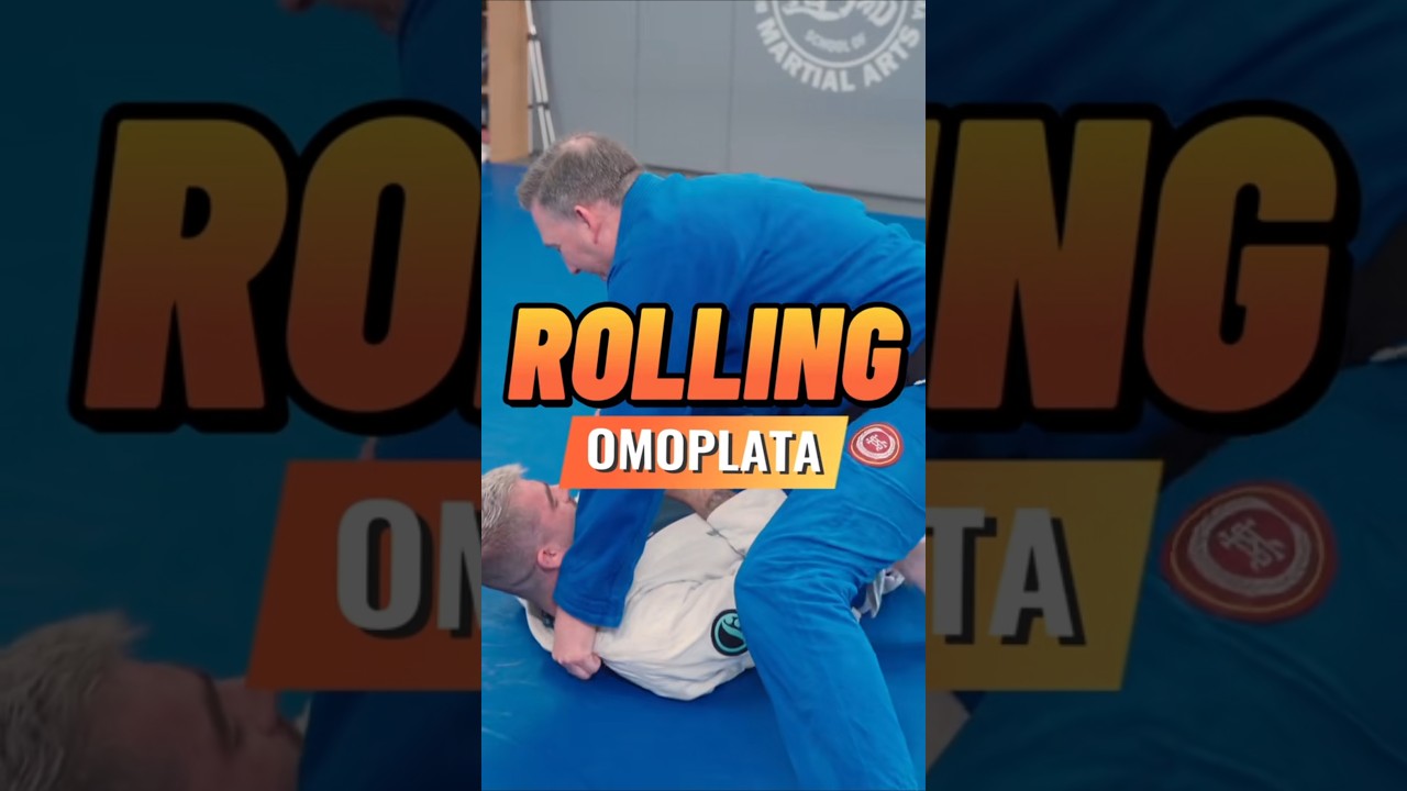 Reverse knee on belly into rolling omoplata 🔥 #kneeonbelly #thegrapplelab