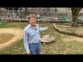 97-year-old tortoise at the Philadelphia Zoo becomes a first-time mom
