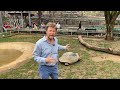 97-year-old tortoise at the Philadelphia Zoo becomes a first-time mom