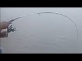 Mancing di pelabuhan Tegal ||spot kerapu - sembilang