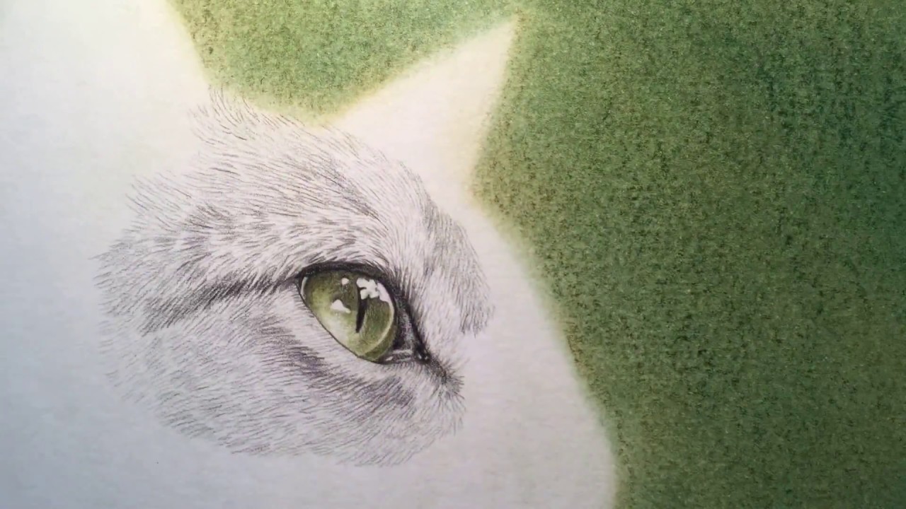 How to Draw Cat Fur - YouTube