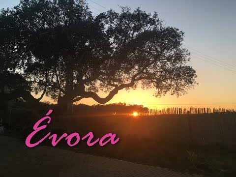 Turismo em Portugal: Ecorkhotel Évora!