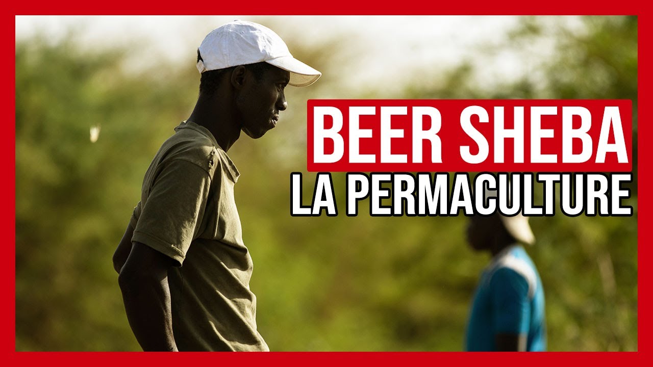 Secours Protestant : Gaby, responsable des Stagiaires de Beer Sheba