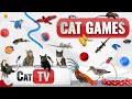 Jeux de chat  compilation ultime de cat tv vol 36  2 heures 