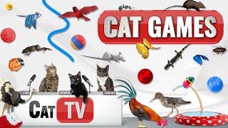 CAT Games | Ultimate Cat TV Compilation Vol 36 | 2 HOURS 🐝🐞🦋🦎🦜🐜🐭🧵 screenshot 1