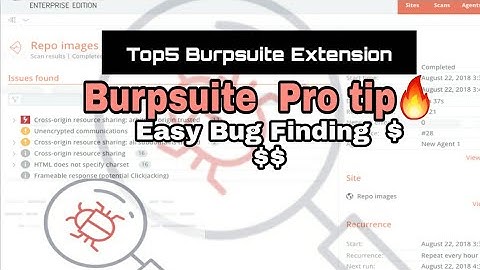 Burpsuite  pro tip🔥| top5 Extension | Jython installation |#cyberTEACH