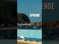 TEMPO ESTAS ORO  #esperanto #foryoupage #foryou #fyp #trending #trendingshorts #viral #video #ai