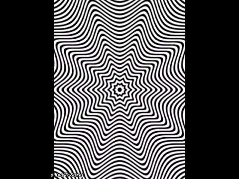 This Can Make