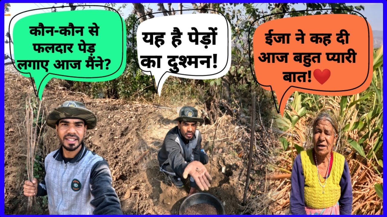 आज खेत में फलदार पेड़ लगाने का काम।