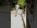 Sonu bhai photo editor buxsr bihar  editing buxar bihar youtube.instagrameditingshorts