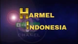 lagu antara teman dan kasih voc. meli lida cipt. rhoma irama