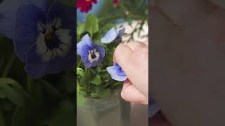 Print flowers on fabric - DIY by Søstrene Grene
With nature’s own colours, you can create beautiful and entirely unique prints on fabric. A quiet moment in the garden can be transformed into a creative project, where flowers and leaves leave their delicate traces.
Find more DIY projects here:
https://sostrenegrene.com/en-gb/diy
Remember to press the “thumbs up” button and tell all your friends about this simple, but creative way of making gifts for your friends.
You can also subscribe to our channel for notifications on Anna’s DIY videos on fun craft projects. On our YouTube channel, you can find creative inspiration and tutorials on DIY projects, styling, painting and even cooking. All our videos aspire to encourage playfulness and creativity for all ages, kids and adults alike.
Best regards,
SØSTRENE GRENE
Find further inspiration on our other social media channels:
https://instagram.com/sostrenegrene
https://facebook.com/sostrenegrene
https://youtube.com/sostrenegrene
https://pinterest.com/sostrenegrenes Print flowers on fabric - DIY by Søstrene Grene