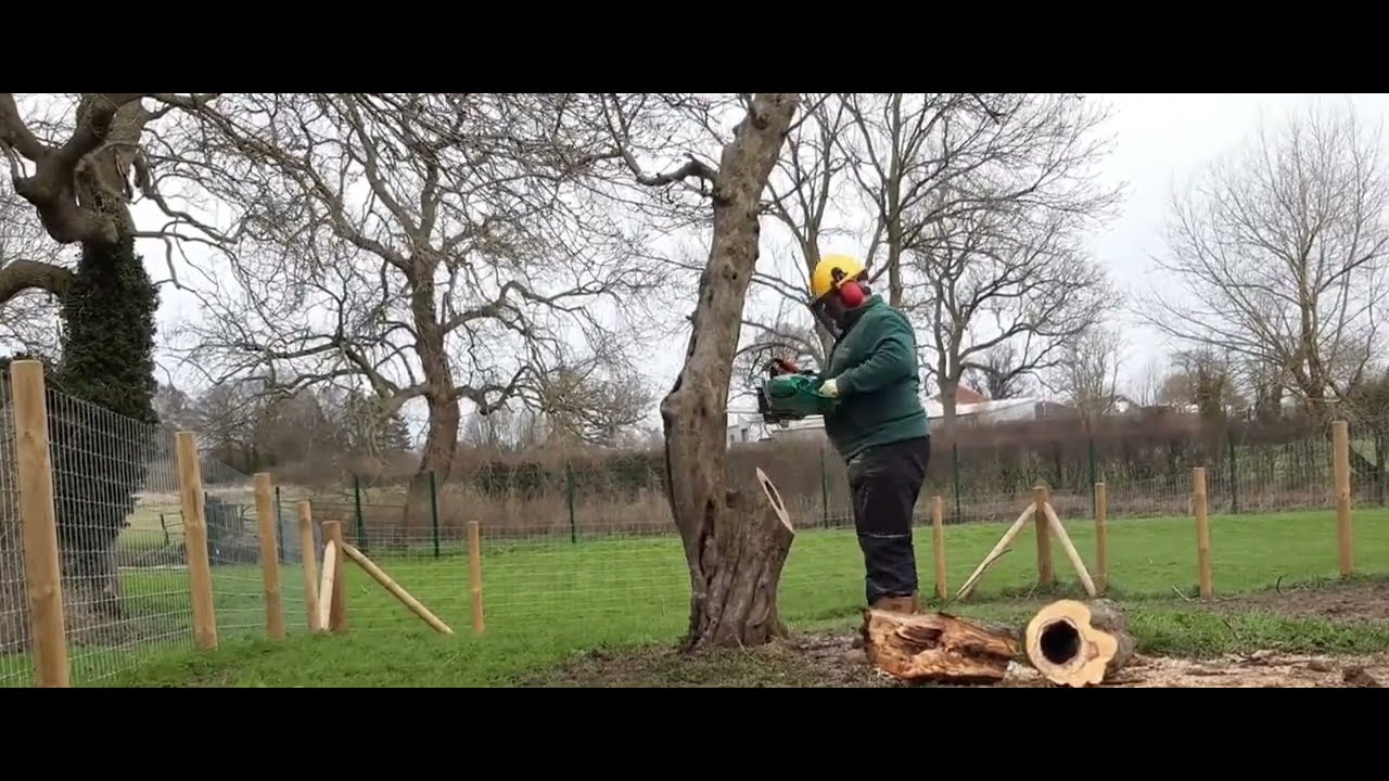 #storm #damage tree clean up #titanpro Pro 1500 #woodchip - YouTube