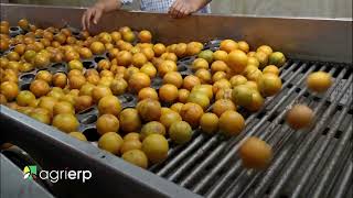Revolutionize your farm operations with AgriERP!