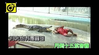 永遠記得嗯介誓言(合)-KTV0793