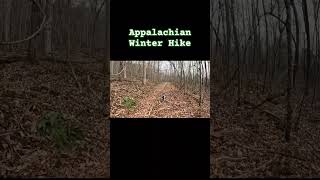 Winter Appalachian Hike #appalachia #appalachians #appalachiantrail #nature #asmr #swva