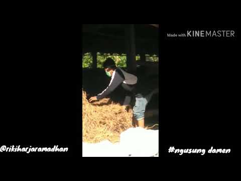 Status WA ( pamet kerjo ) NDXAKA