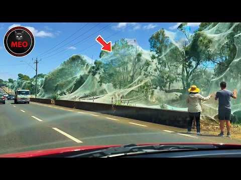 Strange Things Happening Right Now Around the World | One In a Billion Moments In Nature (P15)