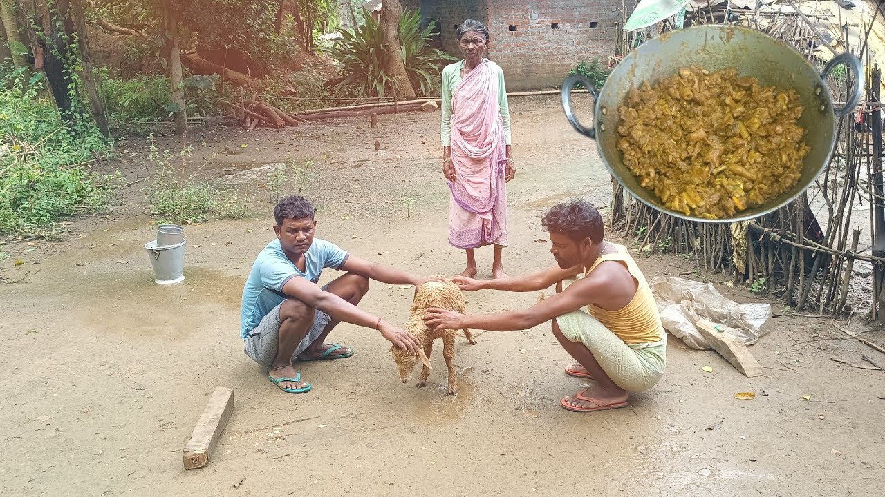 Full Sheep With Rice FULL SHEEP GREVY MASALA CURRY|| how to clean&cooking sheep by tribe ...