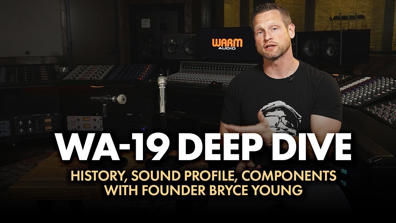 WA-19 Nickel dynamic microphone