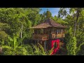 JUNGLE BUNGALOW FAMOUS BALI ECO LODGE - Real ecotourism in a real paradise!