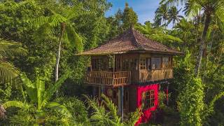 JUNGLE BUNGALOW FAMOUS BALI ECO LODGE - Real ecotourism in a real paradise!