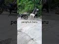 penghuni baru #shorts #shortsviral #shortvideo #short
