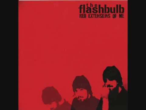 Flashbulb - IF trees could speak
