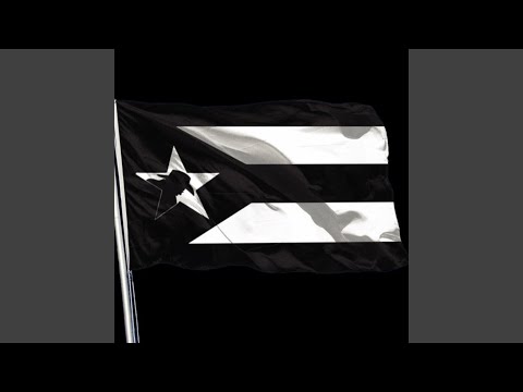 Tiino - Statement