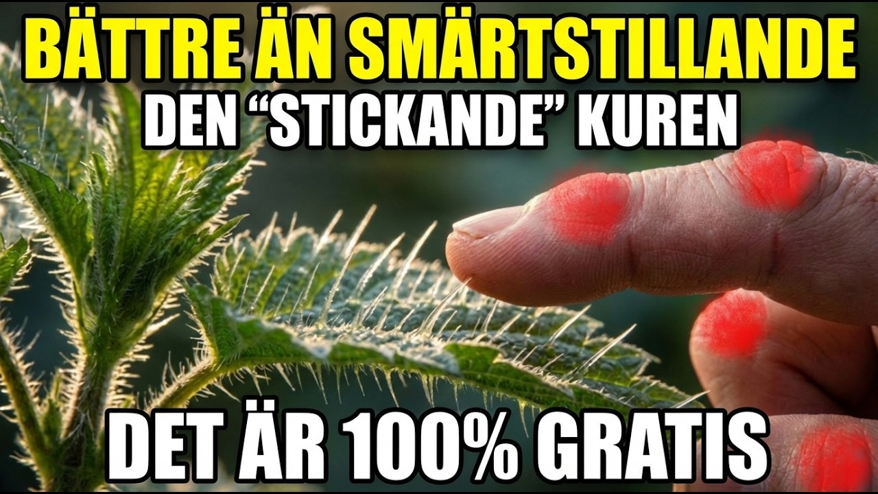 Bättre än värktabletter: Den 